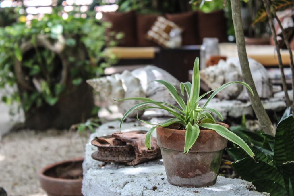 Secret Garden Tulum Hotel Exterior foto
