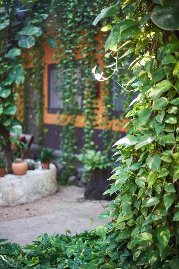 Secret Garden Tulum Hotel Exterior foto